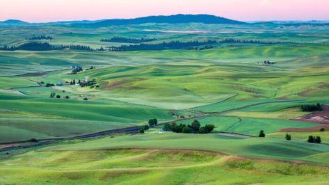 The Palouse region is truly one natural wonder in Idaho that is often overlooked but it sure is remarkable – any time of the year. Utah Arches, The Palouse, Sawtooth Mountains, Most Beautiful Places To Visit, Valley Of Fire, Coeur D'alene, Arches National Park, Travel Stuff, Ocean City