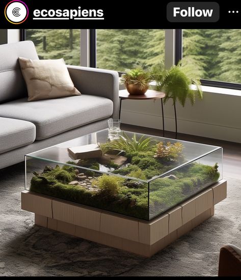 Terrarium Table, Baddie Apartment, Baddie Apartment Ideas, Aquarium Terrarium, Beautiful Terrariums, Japandi Design, Home Decor Aesthetic, Aesthetic Home Decor, Moss Terrarium