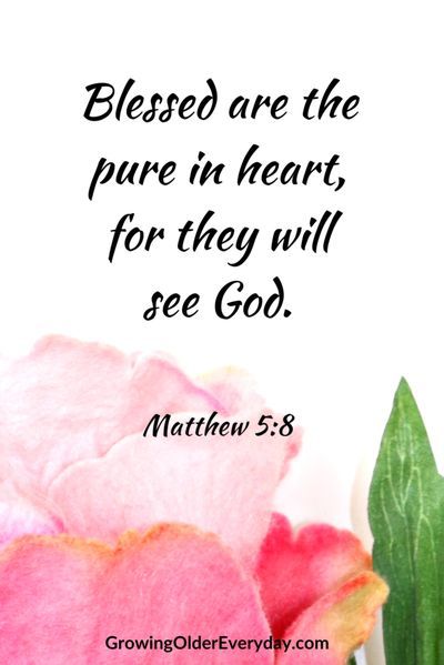 Blessed are the Pure in Heart Poor In Spirit, Matthew 5 3, Jesus Kingdom, The Beatitudes, Pray Continually, The Kingdom Of Heaven, Growing Older, Matthew 5, Blessed Are Those