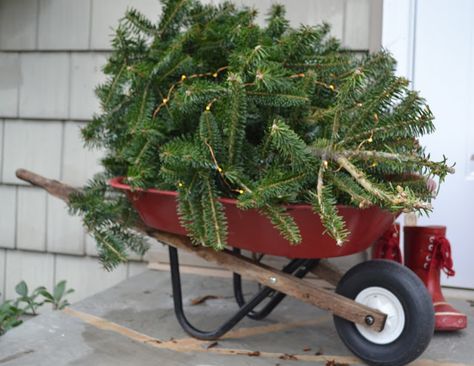 Three Pixie Lane Christmas Shed, Sleigh Decorations, Wheelbarrow Decor, Christmas Outdoors, Wheelbarrows, Winter Decorating, Primitive Fall, Swedish Christmas, Xmas Deco