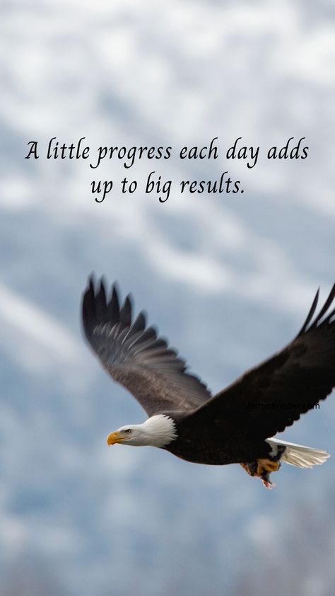 Eagle Mindset Quotes, Eagle Quotes, Eagles Quotes, Abundant Mindset, Isaiah Bible, Bible Wisdom, Eagle Images, Good Morning Sunshine Quotes, Inspirational Quotes Posters