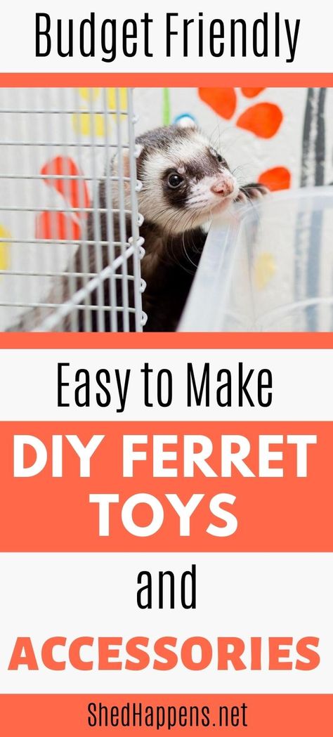 Diy Ferret Food, Diy Ferret Cage Accessories, Ferret Diy Toys, Ferret Care Tips, Ferret Toys Ideas, Ferret Enclosure Ideas, Diy Rat Toys Homemade, Ferret Cage Ideas Diy, Cute Ferret Cage Ideas