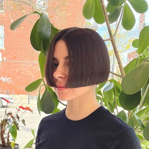 ✂️ @jessicahairstylist_freyja #bob #bobhair #bobhaircut #bobhaircuts #bobhairstyle #bobhairstyles #bobcut #undercut #nape #undercutbob… | Instagram Boyfriend Bob Haircut, Lip Length Bob, Very Short Bob Haircuts, Undercut Nape, Lob Bob, Mini Bob, Corte Chanel, Very Short Bob, One Length Bobs