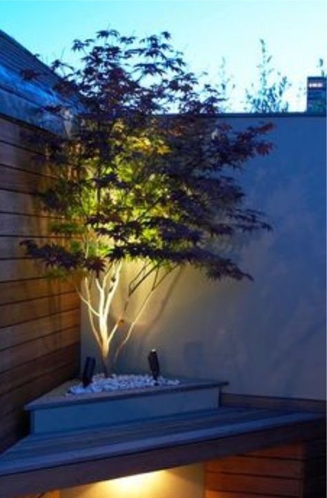 Garden Lighting Ideas, Moderne Have, Cable Drum, Corner Garden, Backyard Lighting, Small Garden Design, Decor Minimalist, Back Garden, Small Gardens