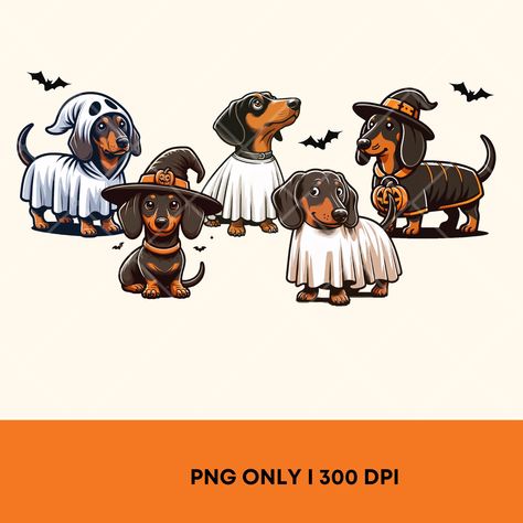 Weiner Dog Halloween, Spooky Animals, Procreate Doodles, Halloween Dachshund, Dachshund Halloween, Dachshund Illustration, Halloween Wallpaper Iphone Backgrounds, Dog Yard, Cute Dogs Images