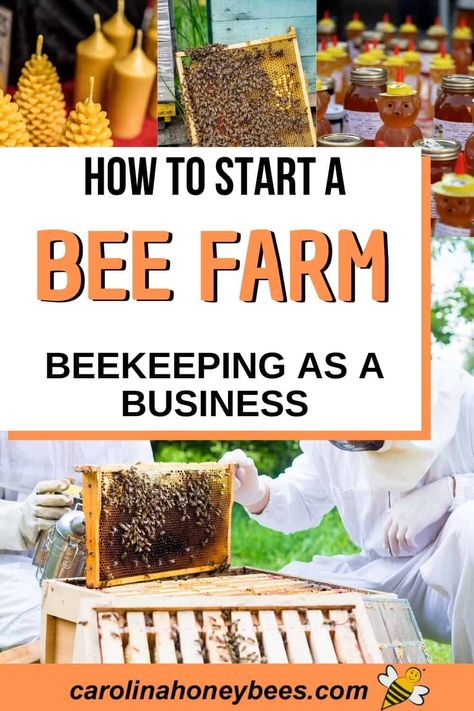 How To Start Beekeeping, Honey Bee Farming, Honey Bees Keeping, Bee Hives Diy, Bee Farming, Bee Hive Plans, Keeping Bees, Backyard Bee, Raising Bees