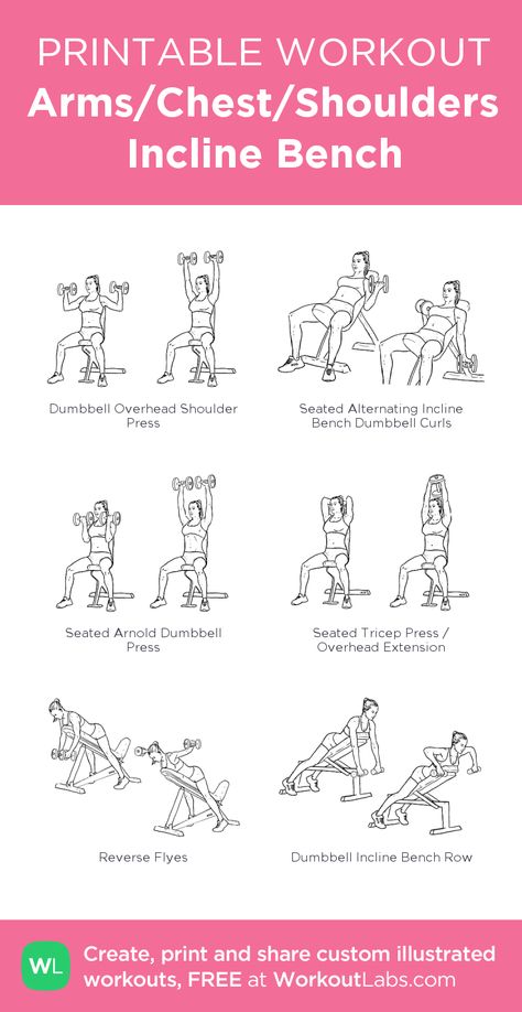 Arms/Chest/Shoulders Incline Bench: my visual workout created at WorkoutLabs.com • Click through to customize and download as a FREE PDF! #customworkout Workouts Using Weight Bench, Weights Bench Workout, Dumbell Workout With Bench, Seated Bench Arm Workout, Dumbbell Workout With Bench, Bench Gym Workout, Bench Shoulder Workout, Bench And Dumbells, Arm Workout Women Bench