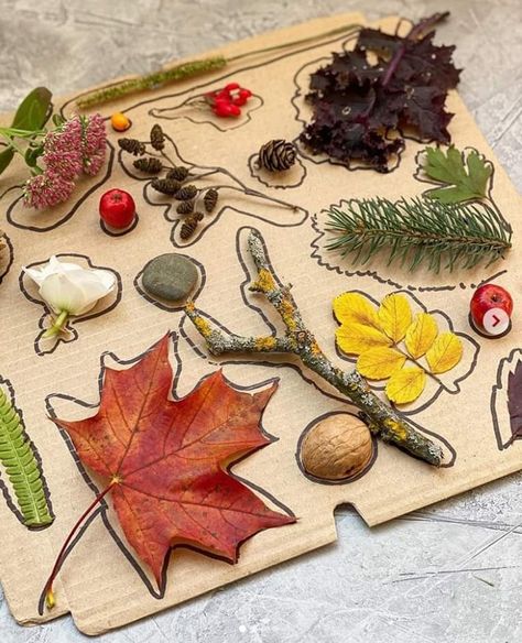 Nature Kindergarten Activities, Forest School Ideas Preschool, Forest School Ideas, Autumn Kindergarten, Forest School Activities, Montessori Diy, Eyfs Activities, Nursery Activities, Nature School