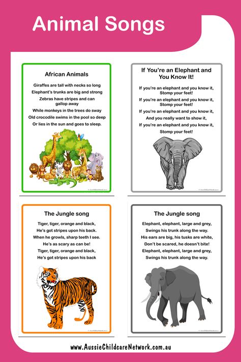 The Animal Songs Posters have songs about wild animals. These are great for children to learn about different animals. Wild Animal Songs For Preschool, Wild Animals Lesson Plan For Preschool, Wild Animals Theme Table Preschool, Zoo Animal Songs Preschool, Wild Animals Theme Preschool, Wild Animals Theme Preschool Activities, Animal Songs For Toddlers, Wild Animals Activities For Kids, Welcome Song For Preschool