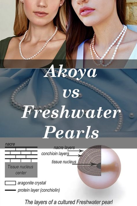 Despite some similarities, Akoya and freshwater pearls differ in several ways, including their structure, shape, color, luster, and price. In this article, we will disclose the differences between these two types of pearls and provide the information you might need to choose the right one. Types Of Pearls, Unique Shapes, Pearl Types, Akoya Pearls, I Choose, White Pearl, Choose The Right, Cultured Pearls, Soft Colors