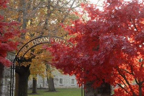 Campus Photo Gallery | Dickinson College Dickinson Series Aesthetic, Ucsd Campus Aesthetic, Prettiest College Campuses, Dickinson College, Northwestern University Campus, College Goals, Liberal Arts College, Liberal Arts, Near Future