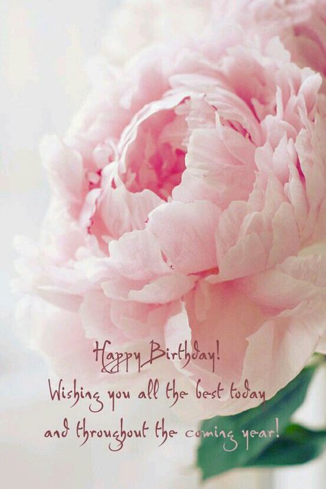 Wishing you a birthday blessed with Infinite Love, Joy, Beauty and FUN!!!! May happy smiles ever blaze your way in this next cycle around the Sun. Eternally One, One, Xoxo Grace <3<3 Pale Pink Peonies, Peonies And Hydrangeas, Cabbage Roses, Tea Roses, Peony Flower, Pink Peonies, Plant Life, Love Flowers, Flower Wallpaper