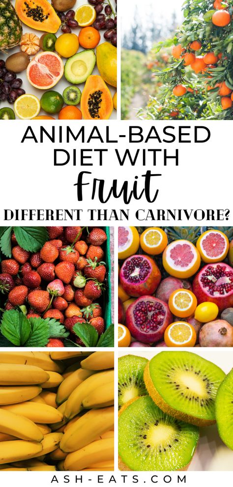 Have you heard about an animal-based diet with fruit? Wondering if it's different than carnivore? In this blog post, I discuss how an animal-based diet with fruit is different than carnivore. I also provide resources related to how to get started with an animal-based diet with fruit. #animalbaseddietwithfruit #carnivorediet Carnivore Diet With Fruit And Veggies, Animal Based Diet With Fruit, Carnivore Diet Fruit, Meat And Fruit Diet Recipes, Animal Based Carnivore, Carnivore Diet With Fruit, Carnivore And Fruit Diet, Animal Based Carnivore Diet, Meat And Fruit Diet Plan