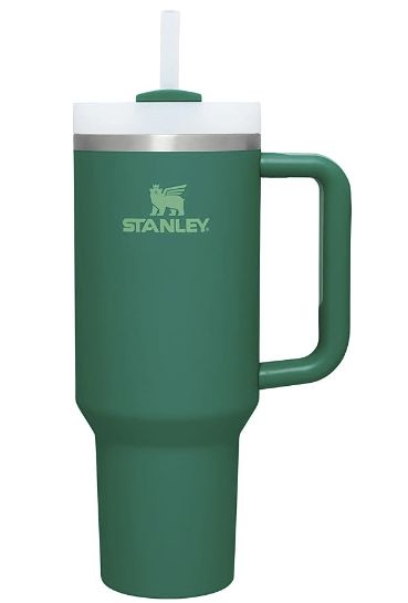 Green Stanley, Stanley Water Bottle, Coffee Smoothie, Cousin Gifts, Stanley Tumbler, Stanley Quencher, Princess House, Cozy Room Decor, Pink Girly Things