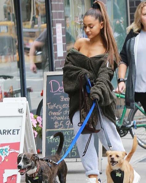 Ariana Grande Cover, Dog Walking Outfit, Santa Tell Me, Colorful Hairstyles, Playing For Keeps, Pitbull Mix, Mac Miller, Dog Walking, Monterey