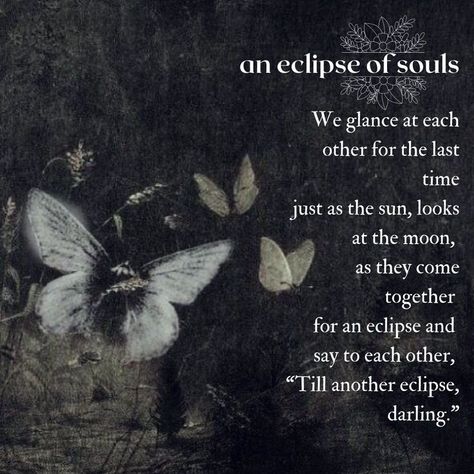 'till another eclipse' ✨✨✨ Look At The Moon, The Last Time, Poetry Quotes, The Soul, Poetry