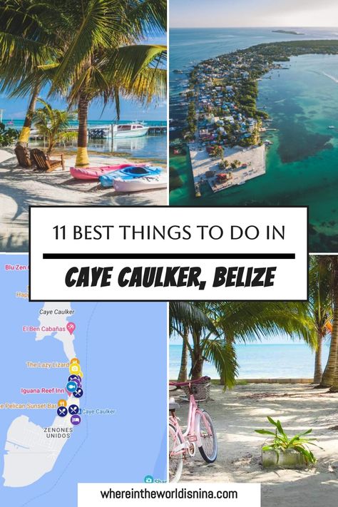 4 photo grid of caye caulker Ambergris Caye Belize Things To Do, Belize Caye Caulker, Things To Do In Belize, Travel 2025, Travel Belize, Caye Caulker Belize, Belize Barrier Reef, Belize Vacations, Caye Caulker