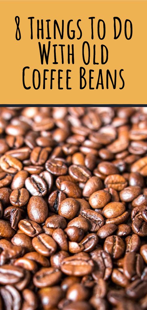 Coffee isn't cheap. It can be heartbreaking to throw away a pound of beans because they sat around too long and got stale. That's why I like finding little known ways to keep my old beans out of the trash can.  Sure, you can compost them. That's actually a good use for them, since they are dense organic material.  But I've run across some pretty unique and fun uses for my coffee beans that have gone past their prime, and I'm excited to share them with you! Coffee Bean Decor Diy, Coffee Beans Art Crafts, Coffee Bean Recipes, What To Do With Coffee Beans, Coffee Beans Decoration, Coffee Bean Art Crafts, Coffee Bean Crafts Diy Projects, Coffee Beans Crafts, Crafts With Coffee Beans