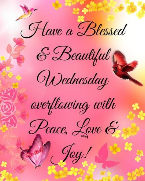 Happy Wednesday Blessings Quotes, Have A Blessed Wednesday Quotes, Good Afternoon Wednesday Blessings, Wendsday Morning Blessing Quotes, Wednesday Afternoon Quotes, Funny Wednesday Quotes Hilarious, Happy Wednesday Quotes Positive Thoughts, It’s Wednesday, Wednesday Afternoon Blessings