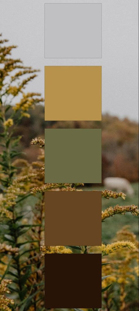 Yellow Earth Tones, Pecan Color Palette, Yellow Green And Brown Wedding, Deep Earthy Color Palette, Cafe Color Scheme, Ocre Color Palette, Color Palette Green Earth Tones, Tea Color Palette, Mustard Color Scheme