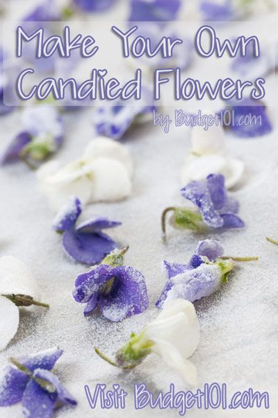 Candied Flowers Candied Flowers, Edible Flowers Recipes, Dessert Gifts, Green Recipes, Candy Flowers, Easter Egg Dye, Edible Arrangements, Dandelion Recipes, Flower Food