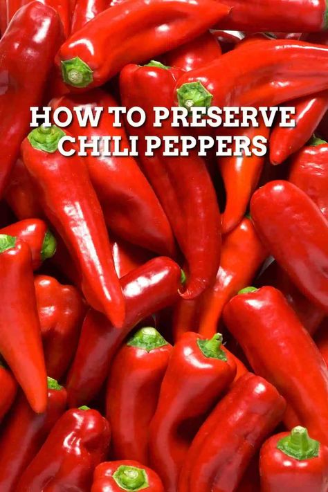 How To Use Chili Peppers, How To Preserve Fresh Chillies, Fresh Chili Pepper Recipes, What To Do With Chili Peppers, Thai Hot Pepper Recipes, Recipes With Chili Peppers, Preserving Chillies, Preserve Chillies, Chili Peppers Recipes