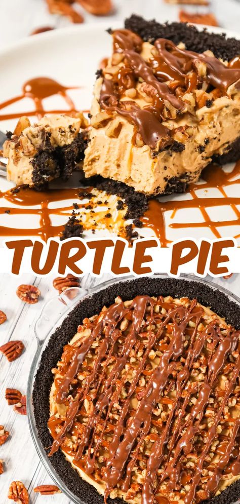 Turtle Pie - THIS IS NOT DIET FOOD No Bake Cheesecake Pie, Turtle Pie Recipe, Edible Sugar Cookie Dough, Turtle Pie, Peanut Butter Cup Cheesecake, Baking Recipes Pie, Chocolate Peanut Butter Desserts, Nutella Fudge, Mint Oreo