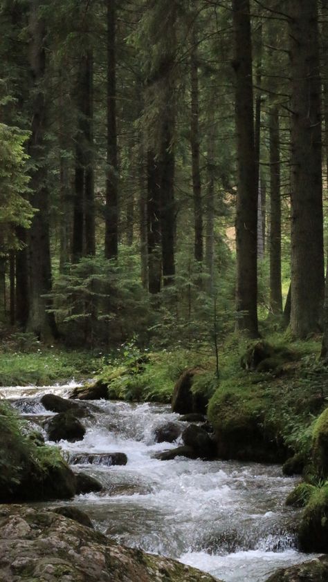 green trees near river during daytime photo – Free Romania Image on Unsplash Beautiful Place In The World, Rocky River, Free Nature, River Forest, Secret Places, Forest River, Green Trees, Nature Images, Beautiful Place