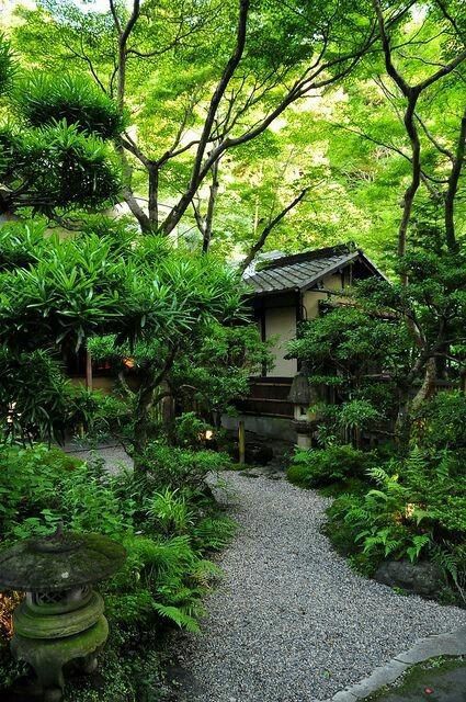 Japanese forest garden - gravel path, different levels of planting keeps it feeling lush but without overcrowding #japanesegardening Path Backyard, Garden With Rocks, Neat Garden, Japanese Gardens Design Ideas, Japanese Garden Landscape, Japanese Forest, Japan Garden, Gravel Path, Japanese Garden Design