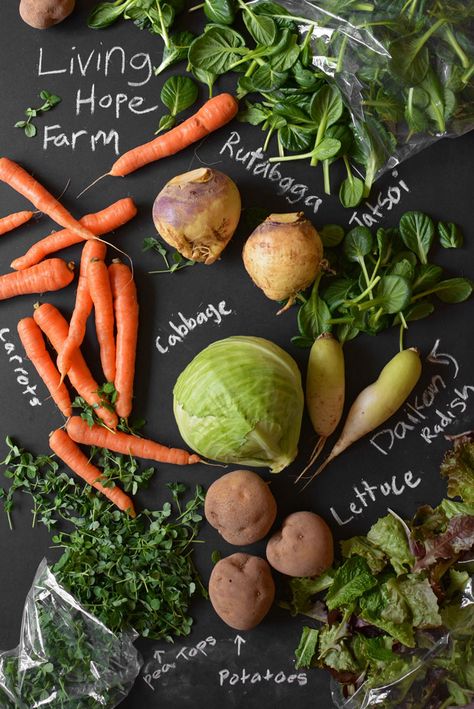 Reasons you should join a CSA! Csa Farm, Csa Box, Registered Dietitian, Local Community, Edible Garden, Nutrition Information, Health And Nutrition, Cooking Tips, Agriculture