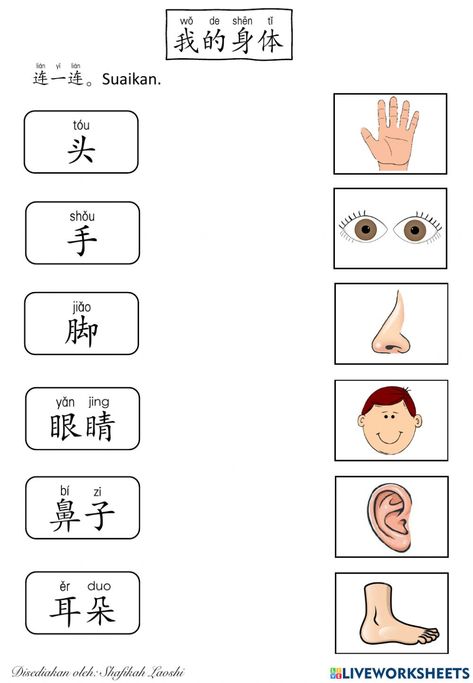 All About Me Maths, Chinese Language Writing, Chinese Flashcards, Bahasa China, Mandarin Lessons, Chinese Language Words, Kindergarten Addition Worksheets, Chinese Phrases, Mandarin Chinese Learning