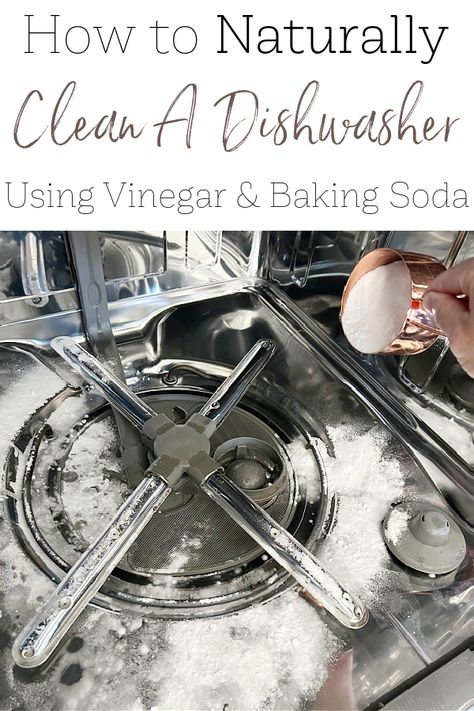 Learn how to clean a dishwasher. This tutorial walks you through how to clean a dishwasher filter and how to deep clean the inside of a dishwasher using vinegar and baking soda. Vinegar In Dishwasher, Clean A Dishwasher, Clean Your Dishwasher, Motivation Cleaning, Dishwasher Filter, Vinegar Cleaner, Kitchenaid Dishwasher, Lavender Laundry, Cleaning Your Dishwasher