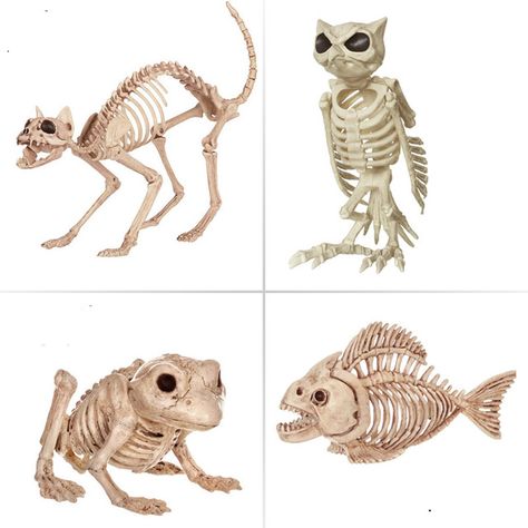 Halloween Zoo, Pool Noodle Halloween, Skeleton Animals, Halloween Decorations Uk, Owl Skeleton, Zombie Halloween Decorations, Animal Skeleton, Skeleton Anatomy, Cat Skeleton