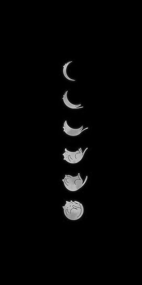 Black And White Wallpaper Drawing, Black Cat Moon Wallpaper, Black Cat And Moon Wallpaper, Space Cats Wallpaper, Cat Drawing Aesthetic Wallpaper, Cat In Space Wallpaper, Black Cat Cute Wallpaper, Cat Wallpaper Aesthetic Black, Cat Dark Wallpaper