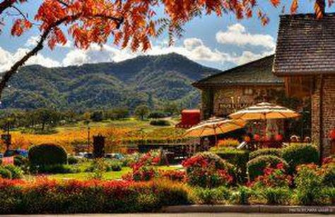 Napa Valley Resorts, Texas Hill Country House Plans, Napa Valley Wedding Venues, Yountville California, Napa Trip, Napa Wineries, California Winery, Napa Valley Wineries, Napa Valley Wedding