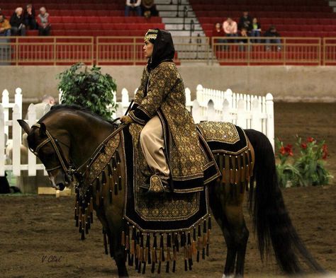 Arabians horses in dress gear. Arabian Horse Costume, Wallpaper Horse, Arabic Horse, Arabian Costume, Horse Costume, Horse Riding Aesthetic, Horse Costumes, Fantasy Horses, Horse Decor