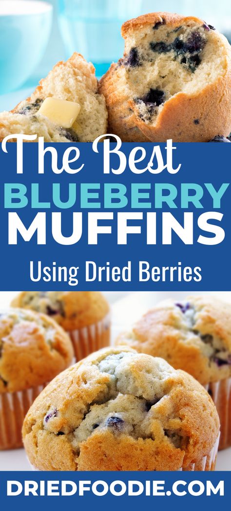 This blueberry muffin recipe uses dehydrated berries and mostly pantry staples. Perfect for muffin mix in a jar - just add milk and butter! Blueberry Muffins In A Jar, Dry Blueberries Recipes, Muffins With Dried Blueberries, Blueberry Muffins Dried Blueberries, Dried Blueberries How To Use, Blueberry Muffins With Dried Blueberries, Freeze Dried Blueberry Recipes, Freeze Dried Blueberries Recipe, Dehydrated Blueberries Recipes