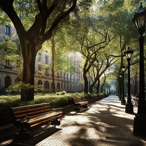 Stroll through an urban area where classic architecture meets tree-lined streets and inviting benches. The perfect fusion of nature and history within the heart of the city. City Trees Street, City Park Aesthetic, Urban Park Landscape, Walkable Neighborhood, Street Bench, Park Architecture, Tree Lined Street, Urban Project, Neighborhood Park