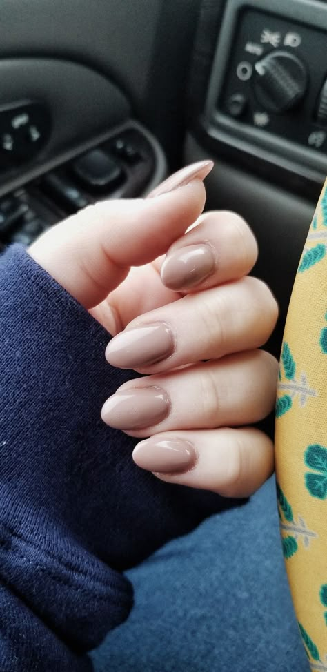 Taupe Oval Nails, Natural Mauve Nails, Round Taupe Nails, Oval Shaped Fall Nails, Medium Rounded Nails, Classy Oval Nails Fall, Short Almond Acrylic Nails Fall Colors, Fall Nails 2022 Color Trends Short Round, Taupe Short Nails