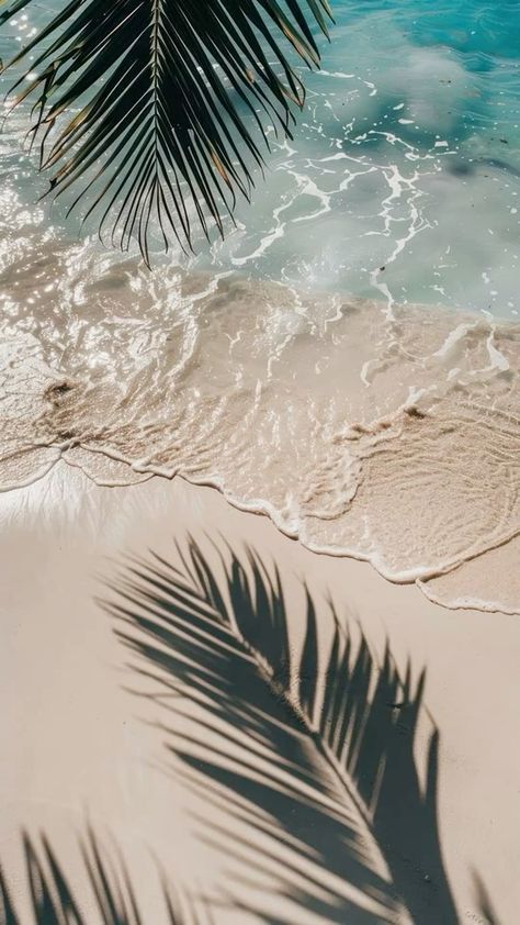 Cool Summer Backgrounds, Neutral Summer Wallpaper, Tropical Background Aesthetic, Pretty Beach Wallpapers, Ipad Beach Wallpaper, Summer Lock Screen Wallpaper, Nature Pictures Wallpaper, August Wallpaper Aesthetic, Cute Summer Wallpaper Iphone