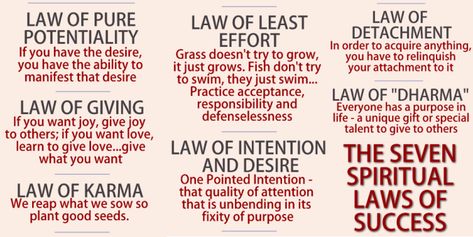 7 Spiritual Laws Of Success, 7 Spiritual Laws, Spiritual Laws Of Success, Laws Of Success, Law Of Detachment, Spiritual Laws, Habits Of Highly Effective People, Womb Healing, Spiritual Psychology