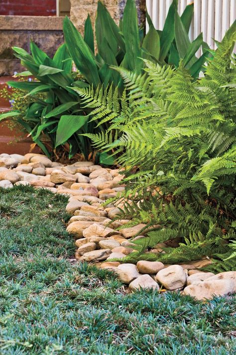 Decorative Garden Stones Lawn Free Landscaping, Decorative Garden Stones, Bird Baths, Big Garden, Garden Edging, Diy Garden Projects, Garden Borders, Landscaping With Rocks, Exeter