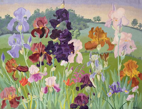 Artist Spotlight: Cedric Morris Cedric Morris, Art Still Life Photography, English Modern, Still Life Inspiration, Paintings Of Flowers, Flowers In Art, Floral Still Life, Floral Oil Paintings, Flower Landscape