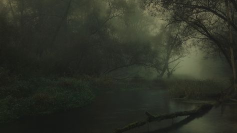 landscape, nature, river, forest, dark, mist, shrubs, trees, atmosphere, Germany, reeds | 1920x1080 Wallpaper - wallhaven.cc Dark Sunrise, Kitchen Canvas Art, Dark Naturalism, Soul Kitchen, Forest Dark, Nature River, Dark Landscape, River Forest, Nature Hd