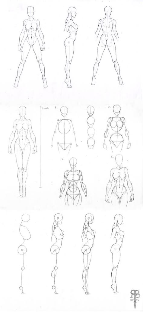 Human Body Drawing, Drawing Female Body, Body Sketches, Body Anatomy, Japanese Graphic Design, Female Anatomy, Guided Drawing, Anatomy Drawing, Body Drawing