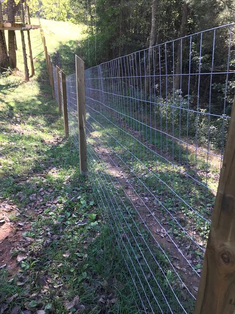 Dog Yard Fence, T Post Fence, Dog Proof Fence, Cyclone Fence, Cedar Fence Posts, Hog Wire Fence, Backyard Dog Area, Diy Dog Fence, Steel Fence Posts