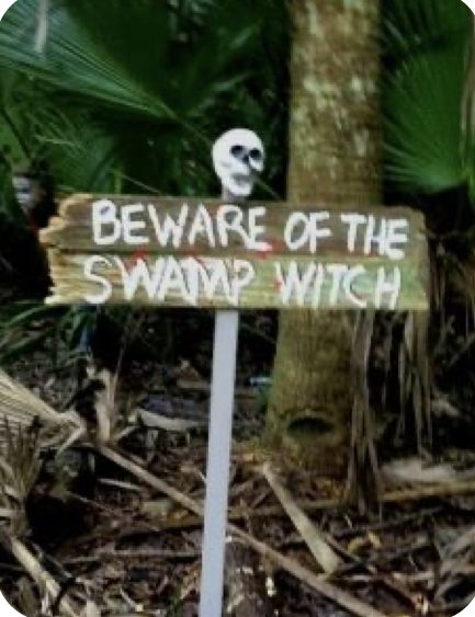 Swamp Halloween, Running Through The Woods, Voodoo Party, Halloween Morning, Bubble Witch, Voodoo Halloween, Autumn Plants, Swamp Monster, Swamp Witch