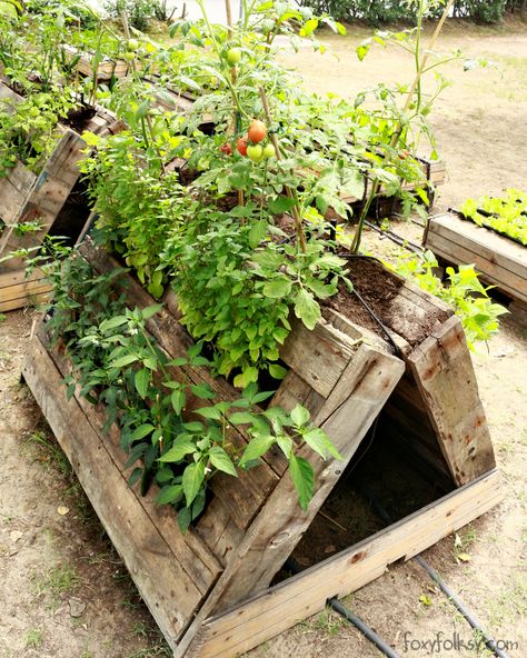 pallet gardening Vegetable Garden Raised Beds, Vertical Vegetable Garden, Easy Vegetable, Building A Raised Garden, Pallet Planter, Diy Raised Garden, Diy Outdoor Decor, Pallet Garden, Pallets Garden