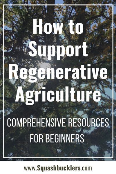 Regenerative Gardening, Ecosystem Restoration, Regenerative Farming, Regenerative Agriculture, Carbon Sequestration, Farm Plans, Animal Agriculture, Agriculture Education, Permaculture Gardening