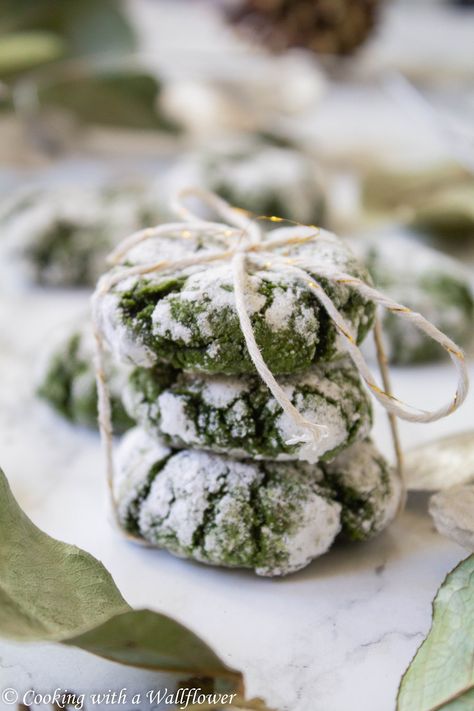 Matcha Crinkle Cookies Matcha Crinkle Cookies, Student Cooking, Apple Crumble Pie, Crinkle Cookies Recipe, Matcha Cookies, Mason Jar Lid, Matcha Recipe, Crinkle Cookies, Recipe Blog